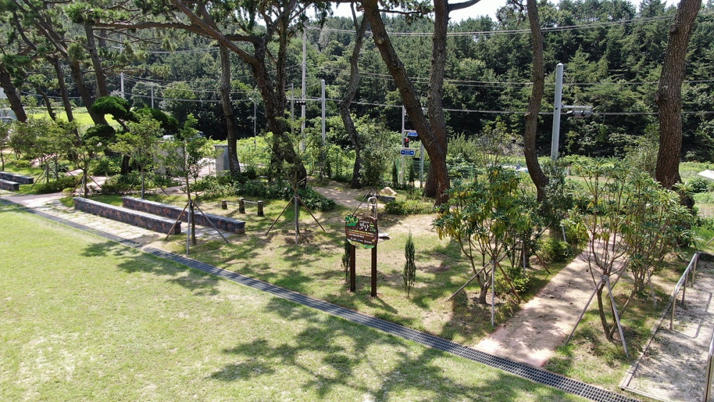 ▲돌산초등학교 ‘학교 숲’ 