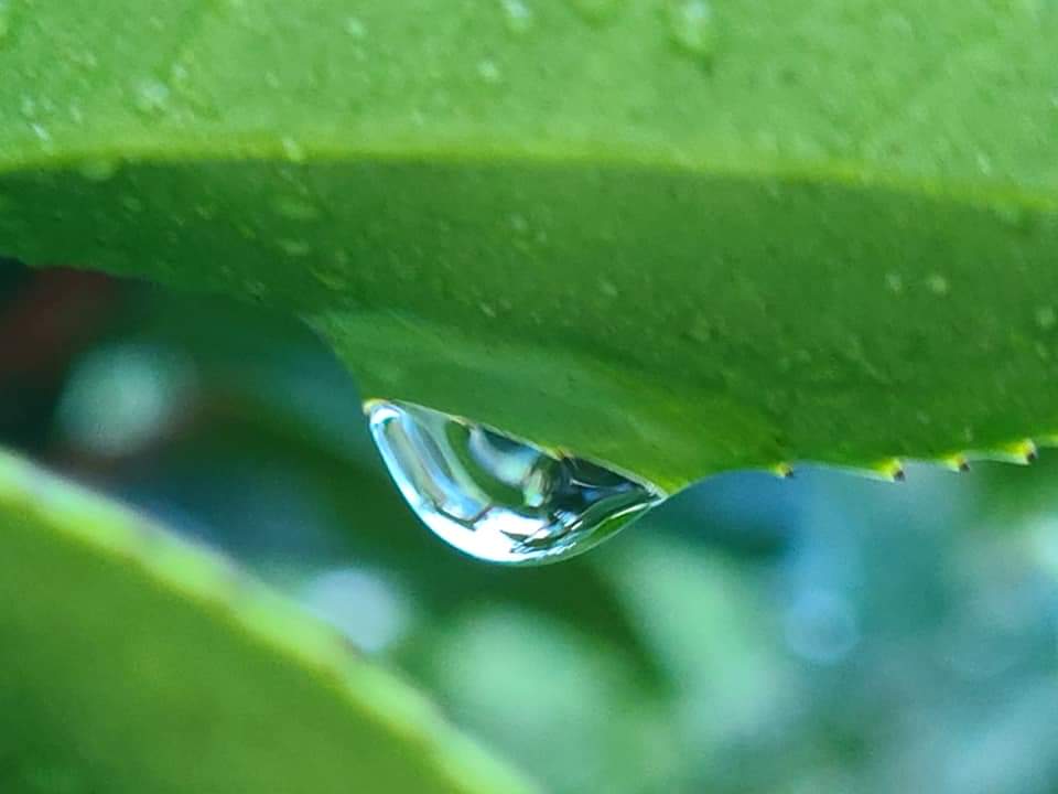 ▲ 고전을 곱씹으며 영혼을 정화하자.