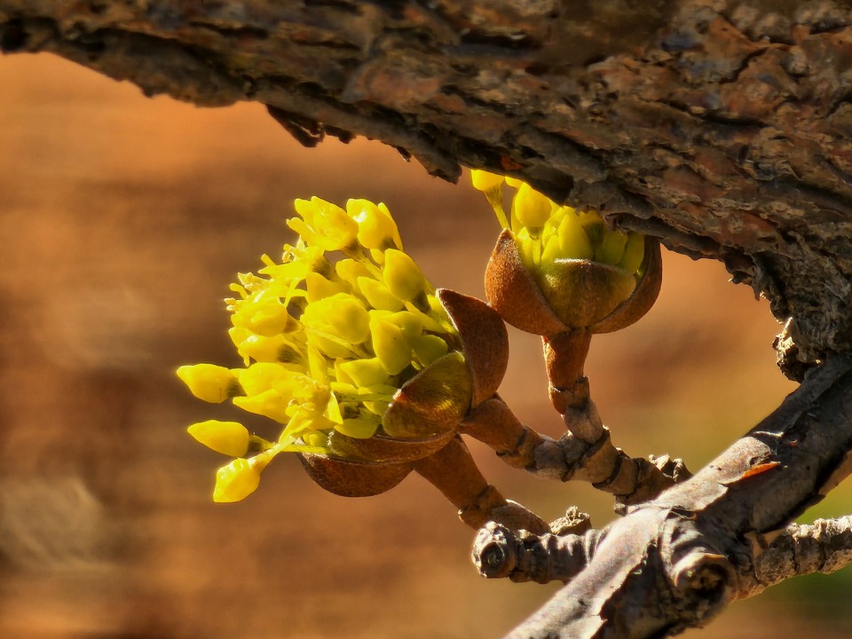 ▲ 앎이여! 행동으로 보여다오. 그게 앎의 본질이 아닐까?