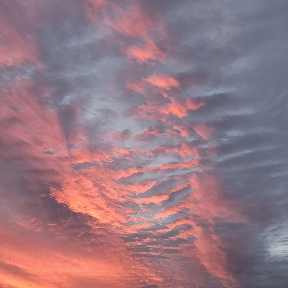 ▲ 혹세무민하는 앎은 순백색 얼굴을 갖지 못한다. 그저 화려하고 찬란할 뿐이다.