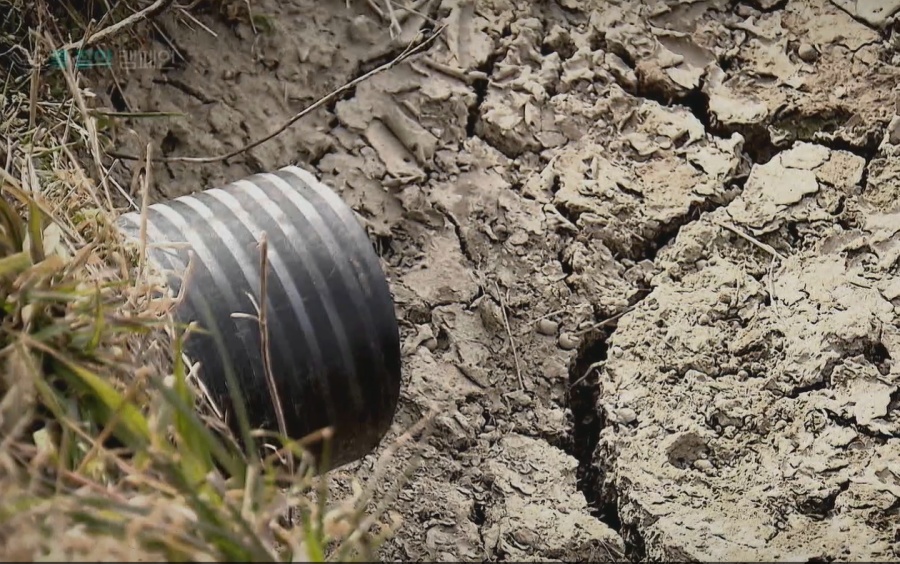 ▲ 전남 가뭄피해 현장