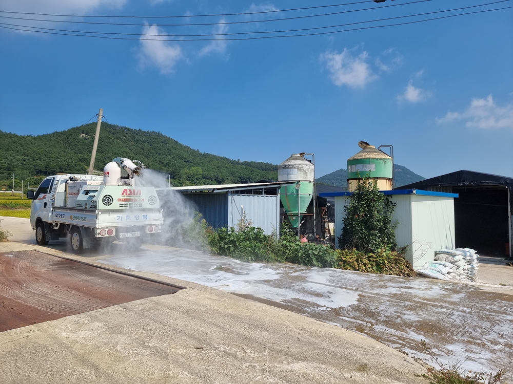 ▲ 영광군 조류인플루엔자 도로 소독현장