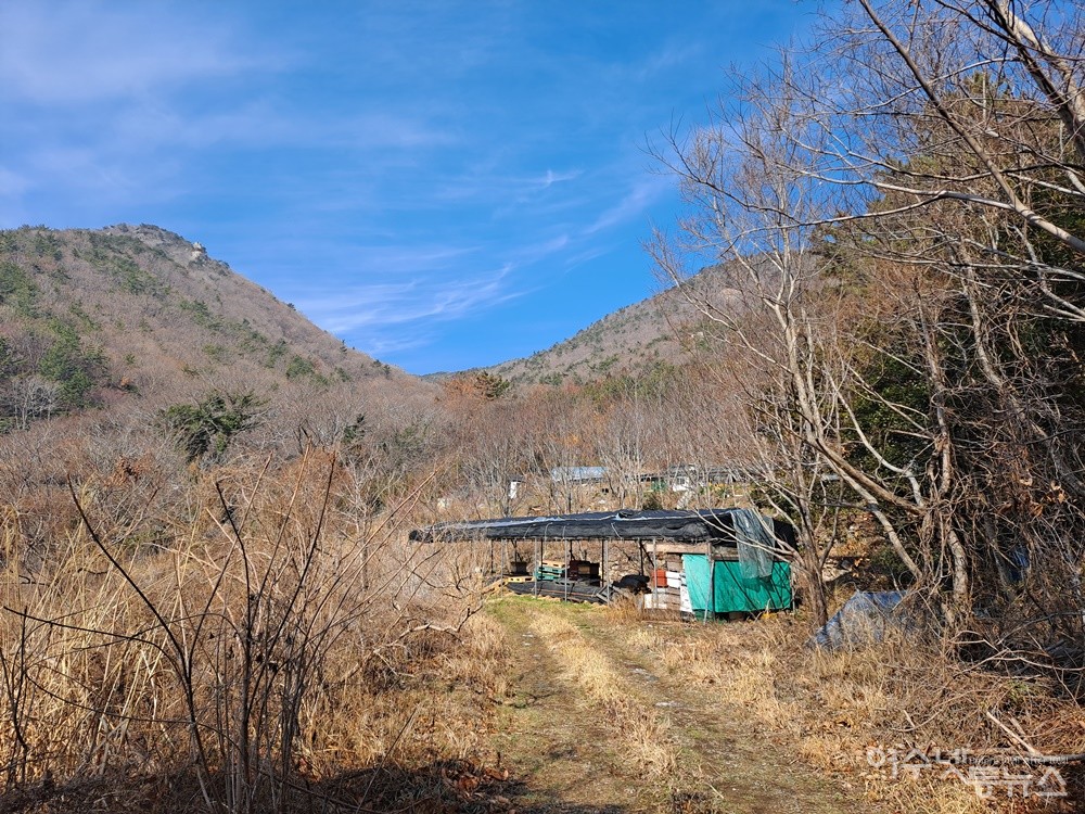 ▲ 여수 만성리 천성산 자락의 꿀벌농원이다.ⓒ조찬현