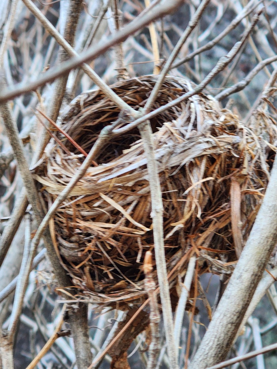 ▲ 모든 일에는 본말이 있다.