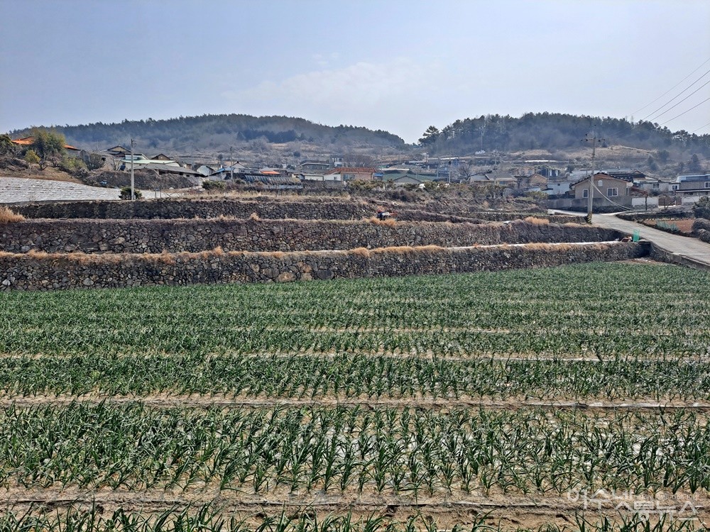 ▲ 여수시 화양면 이목리 신기마을 풍경이다.ⓒ조찬현