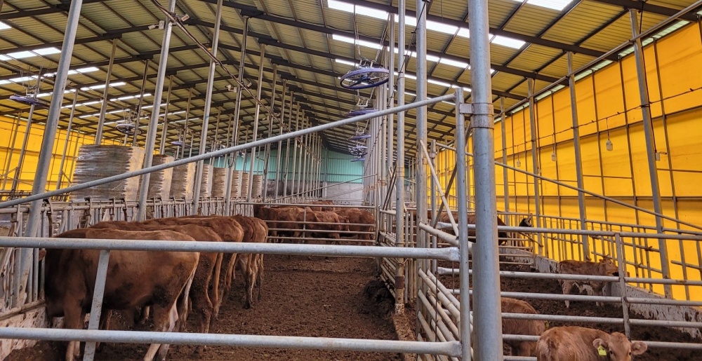 ▲ 축산ICT 사업, 강진 우사  