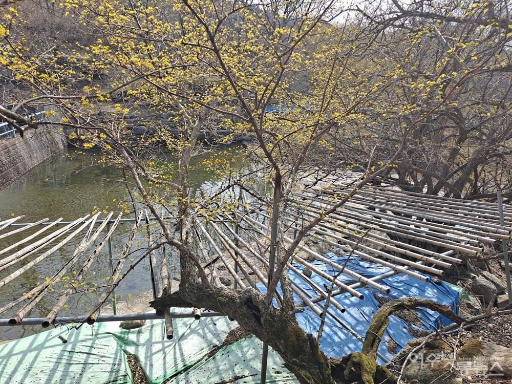 ▲사람의 손길이 닿지 않는 시설물들이 허허롭다 . ⓒ조찬현