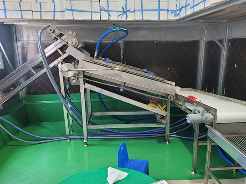 ▲홍합자동화시설(선별기)