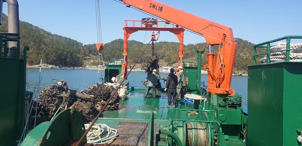 ▲ 오염퇴적물 인양 모습
