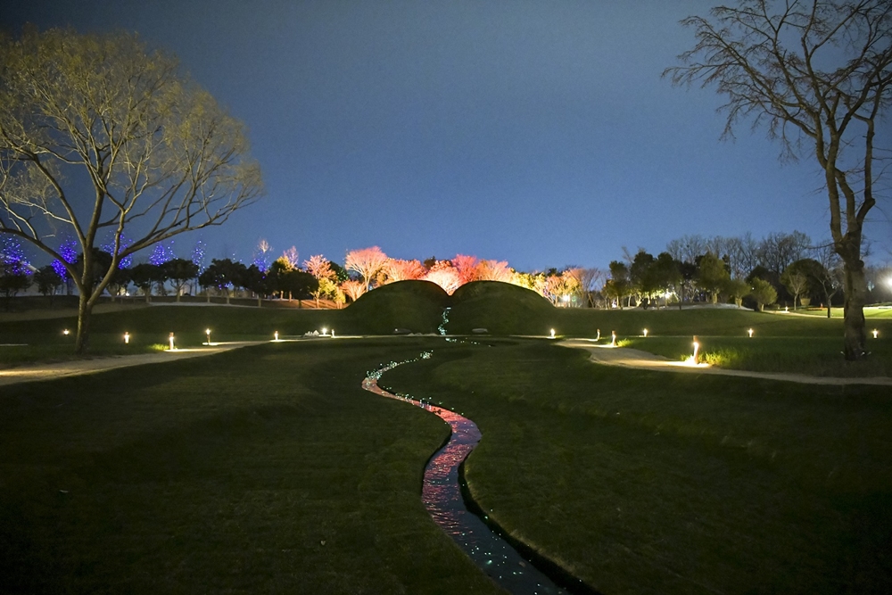 ▲ 2023순천만국제정원박람회 콘텐츠인 노을정원 야간경관