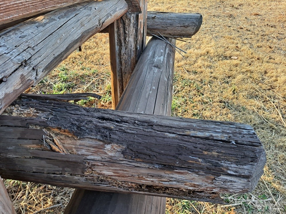 ▲ 고상가옥을 지탱하는 기둥과 바닥 통나무 일부가 썩어들어가고 있다.ⓒ조찬현