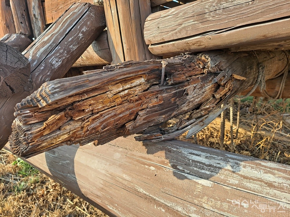 ▲고상가옥으로 연결된 계단 옆 바닥 통나무는 속까지 썩었다. ⓒ조찬현