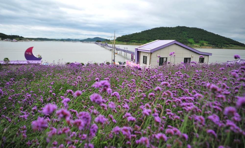 ▲ 신안 반월박지도