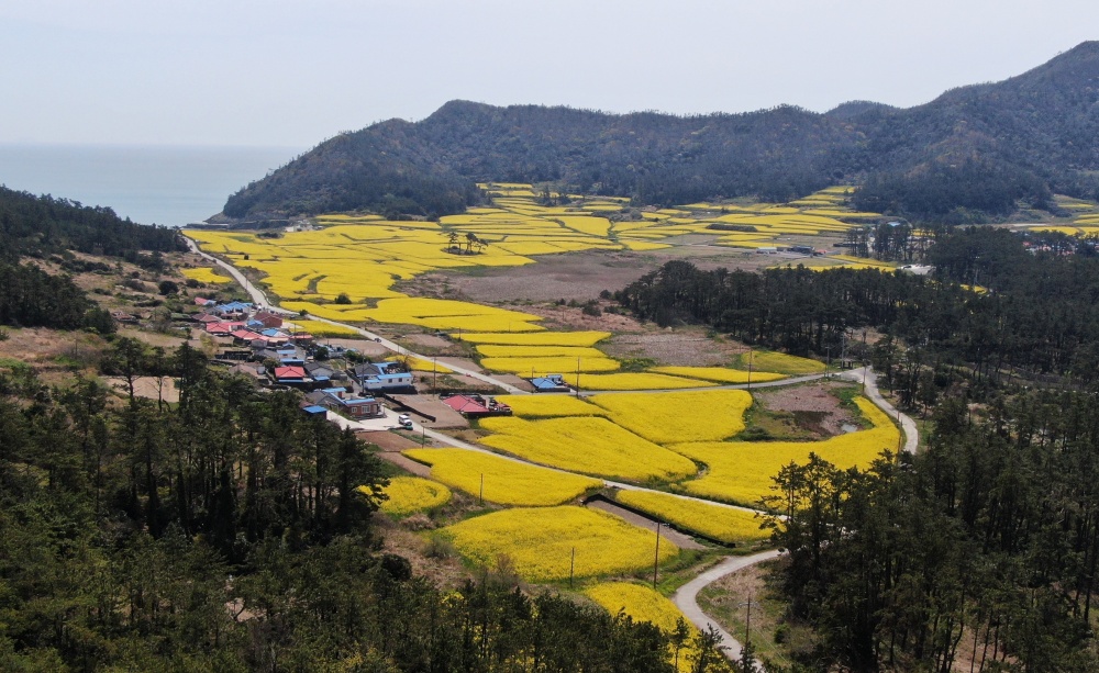 ▲ 진도 관매도