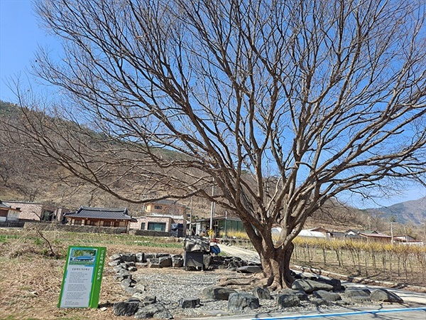 ▲ 김용택 시인의 생가가 있는 진뫼마을 ⓒ오문수 