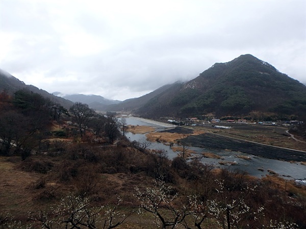 ▲ 구담마을에 매화꽃이 피면 관광객이 들어오기 시작한다.  ⓒ오문수 