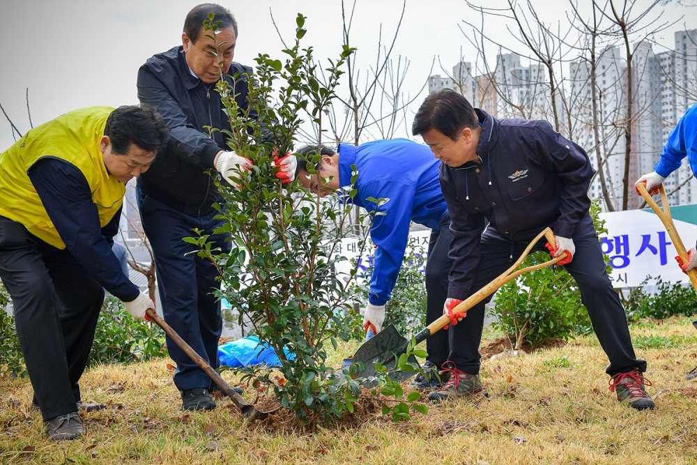 ▲ 정기명 시장이 나무심기 행사에 참여해 애기동백나무를 심고 있다. 