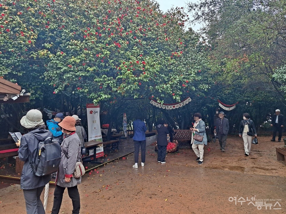 ▲ 동박새 꿈 정원에 동백꽃이 활짝 피었다. ⓒ조찬현