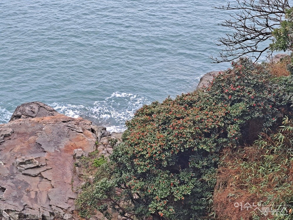 ▲푸른 파도와 붉은 꽃이 멋진 조화를 이룬다.  ⓒ조찬현