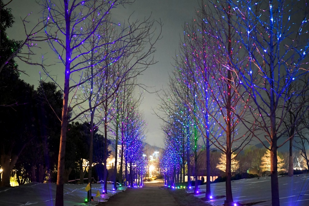 ▲국가정원 야간경관