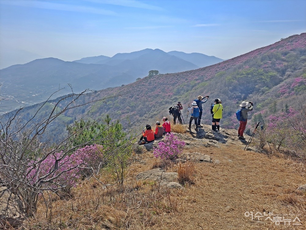 ▲ 여수 아주머니들은 “영취산 진달래 겁나 좋지라이~”라며 환하게 웃는다.ⓒ조찬현