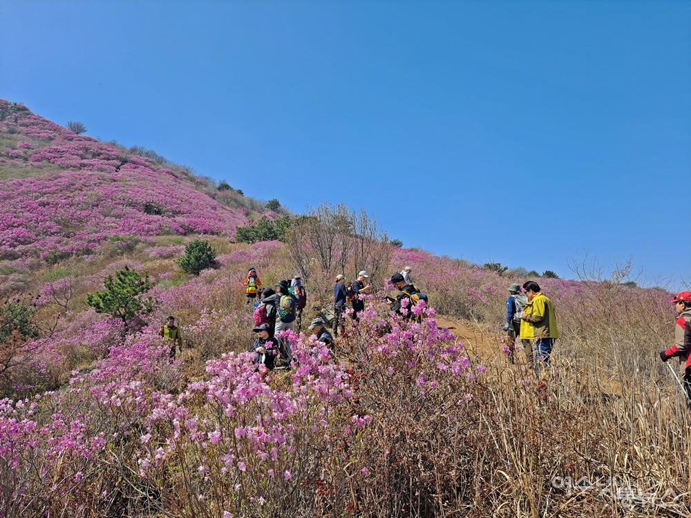 ▲영취산에서 만난 한 시민은 “진달래 피어나는 봄철이면 몇 번이고 영취산에 오른다”고 했다. ⓒ조찬현