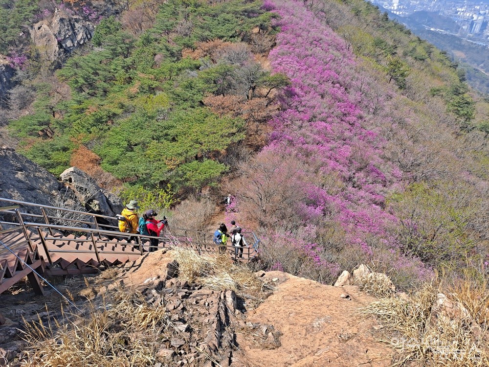 ▲여수 영취산을 찾은 등산객들이 가파른 계단을 내려가고 있다. ⓒ조찬현