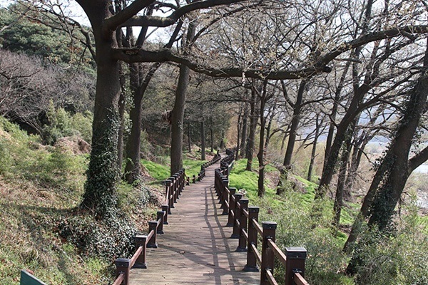 ▲ 이순신 장군 백의종군로를 따라 섬진강변을 걷다가 용호정 인근에서 만난 생태탐방로 모습이다.ⓒ 오문수
