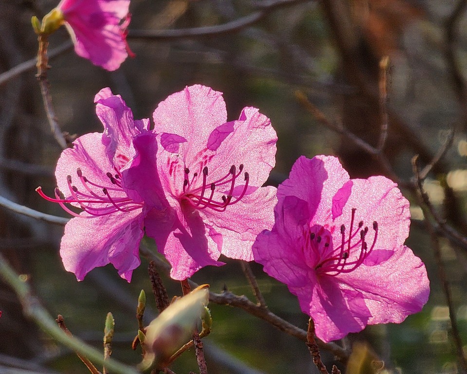 ▲ 투명하게 사과하라. 성스러운 마음, 용서가 있을 것이다.