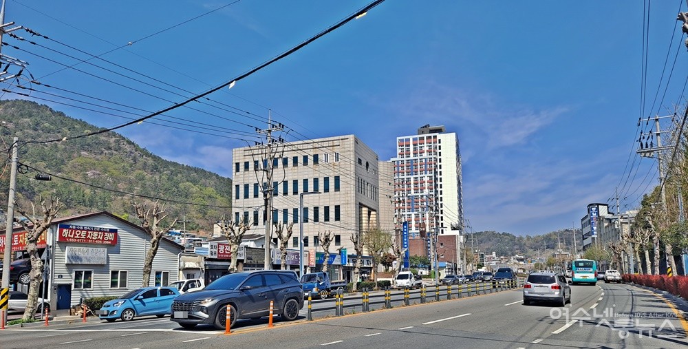 ▲웃자란 가로수 나뭇가지 전정이 아닌 별다른 문제가 없어 보이는 나무까지 모두 자르고 뭉치만 남겨두었다.  ⓒ조찬현