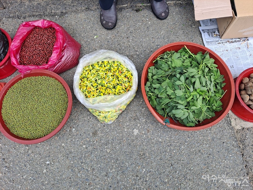 ▲녹두와 팥, 골담초, 방풍나물이다. ⓒ조찬현