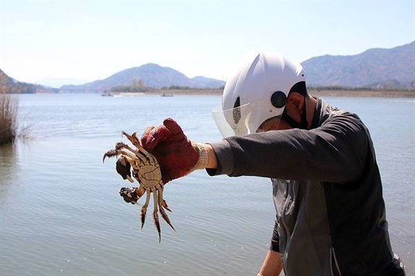 ▲ 섬진강에서 참게를 잡은 한 주민이 섬진강 대홍수는 인재였다며 불만을 표했다 ⓒ오문수