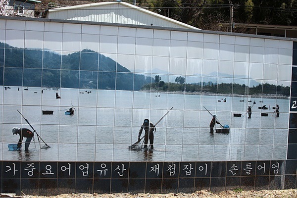 ▲ 재첩특화마을 인근 벽화에 붙여진 재첩수확모습. 하동은 재첩으로 유명한 곳이다.ⓒ오문수