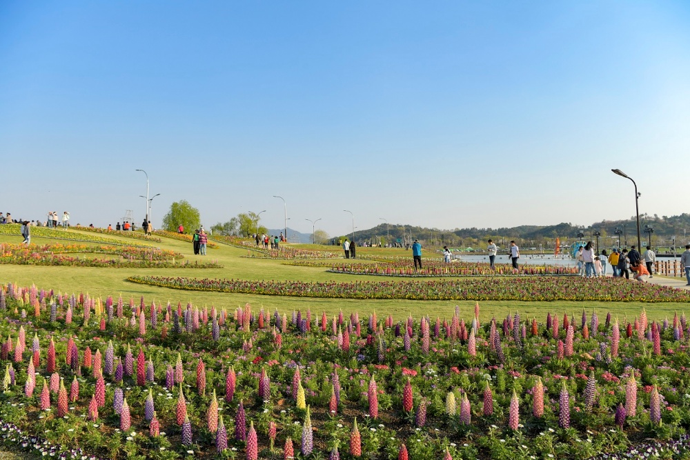 ▲ 오천그린광장