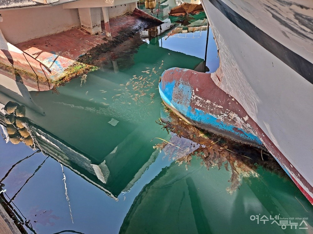 ▲녹슬고 부서진 어선 아랫부분에는 그간의 세월을 증명이라도 하듯 해초류가 무성하게 자라고 있다. ⓒ조찬현