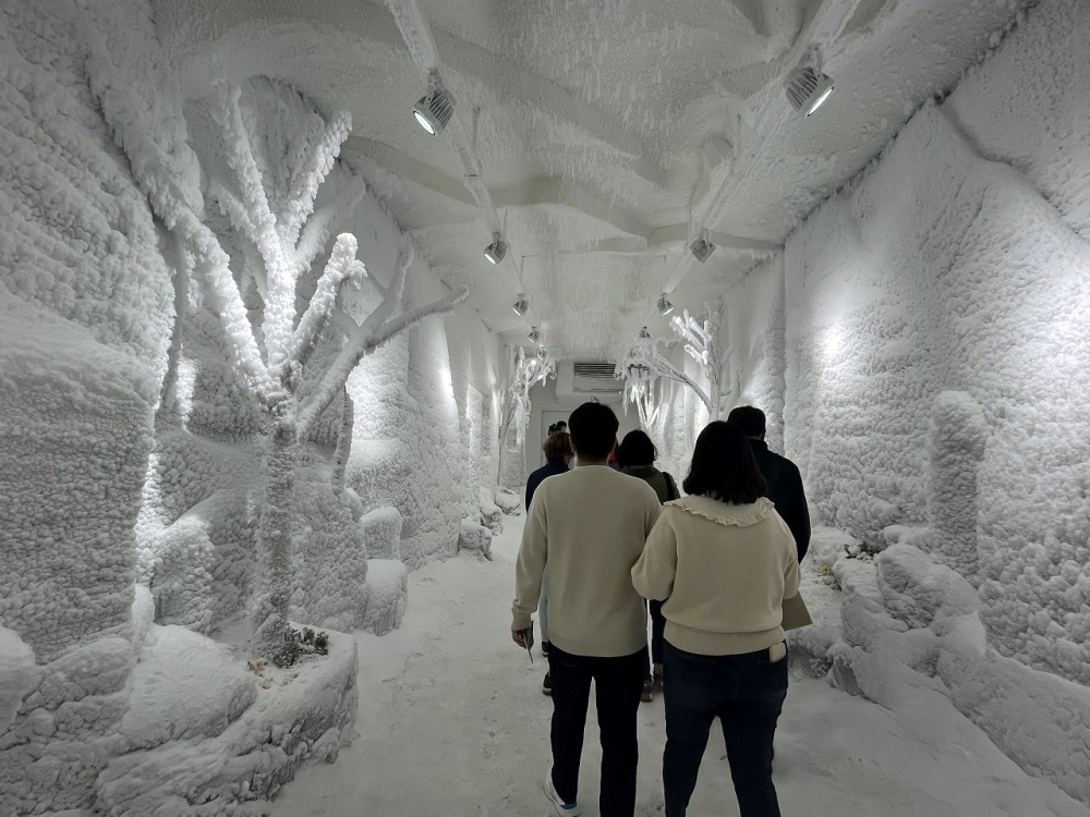 ▲ 시크릿가든 빙하정원 내부