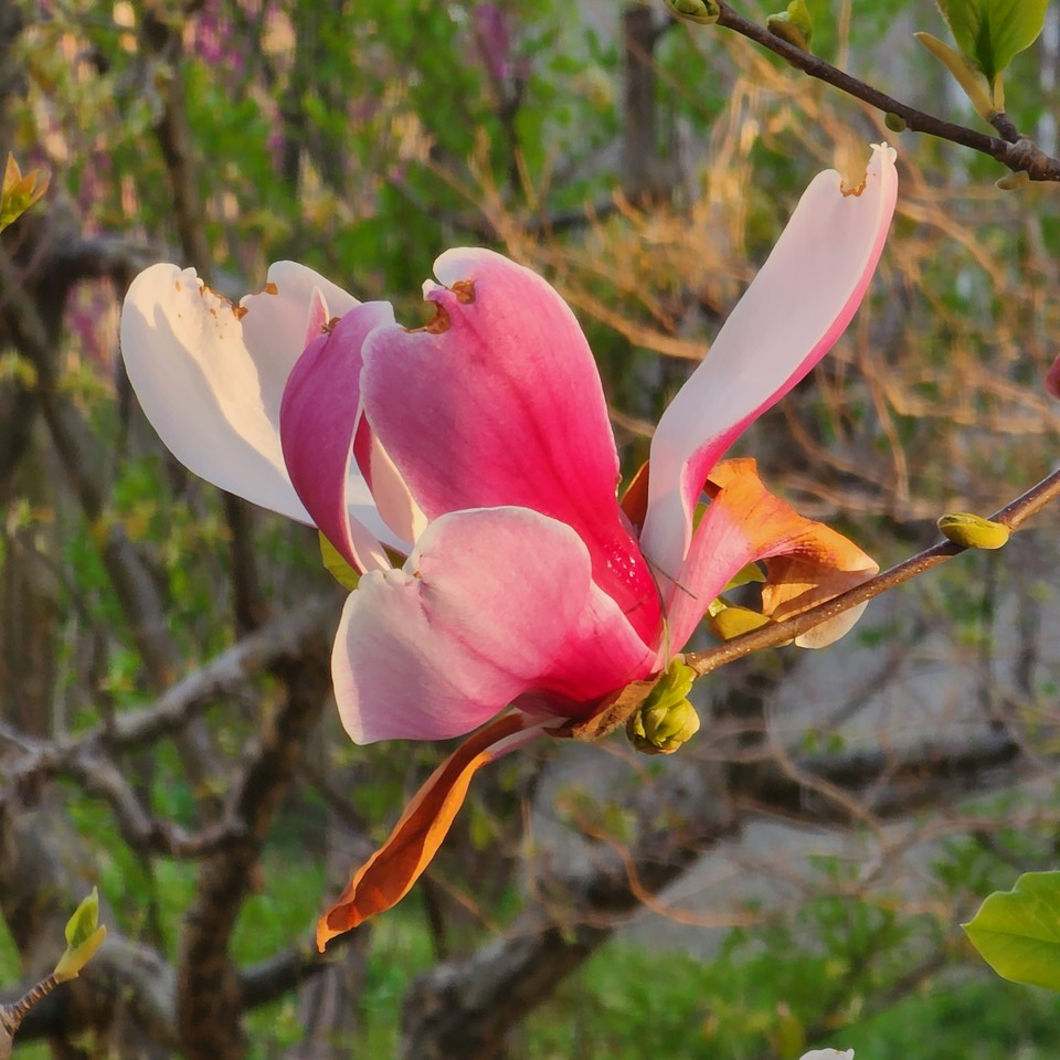 ▲ 오늘도 내일도 한 뼘 한 뼘 성장하라.