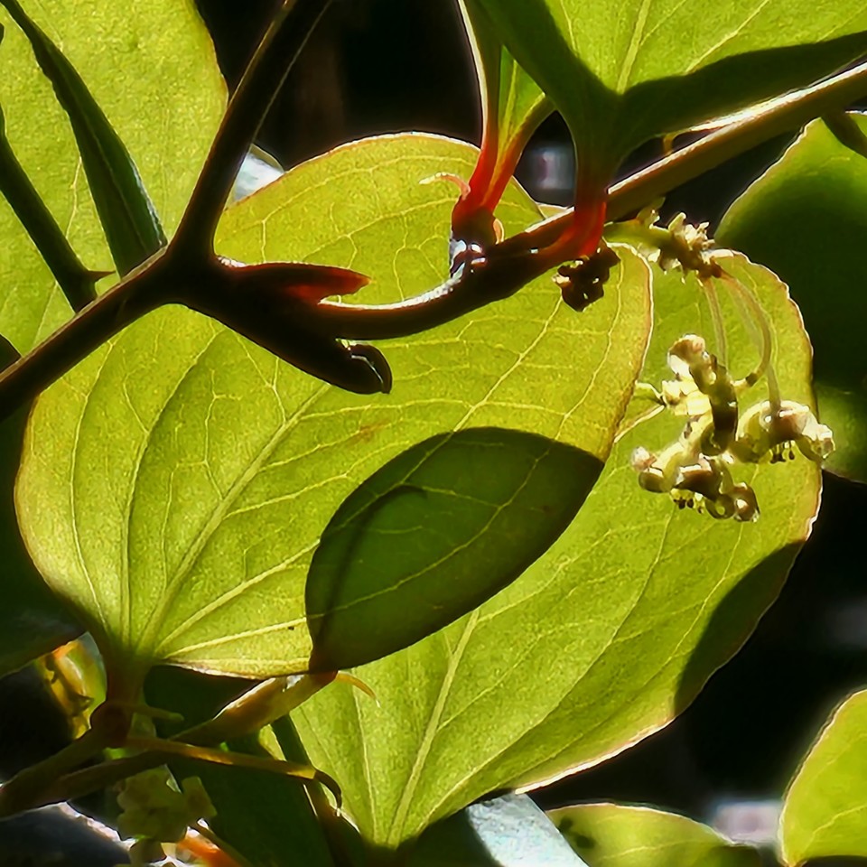 ▲ 침묵하며 인내하며 성장하며