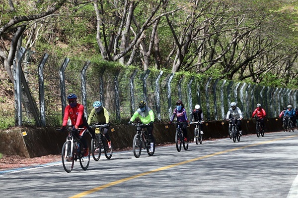 ▲ 섬진강 종주 자전거도로인 광양시 다압면 일대를 달리는 자전거 동호인들이 자전거길이 없어 자동차 도로를 달리고 있다. ⓒ 오문수