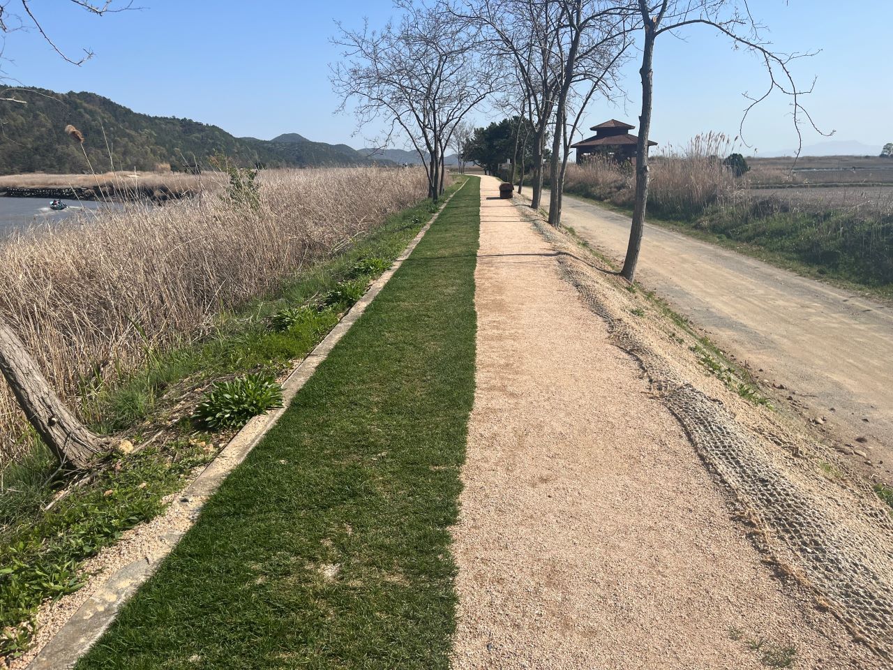 ▲ 순천만습지 어싱길의 잔디길과 마사토길