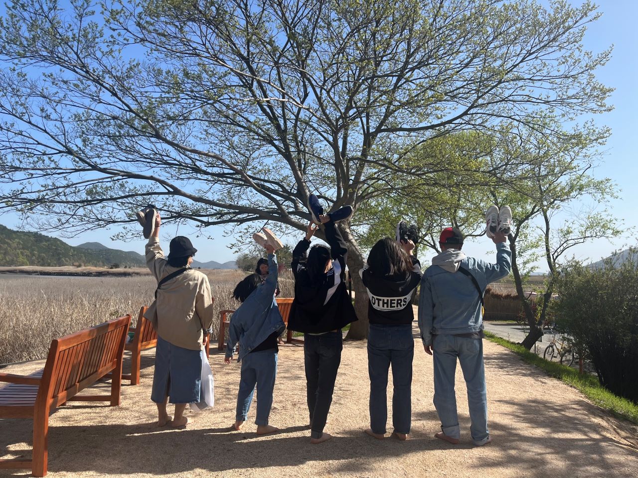 ▲ 어싱길을 걷는 관람객