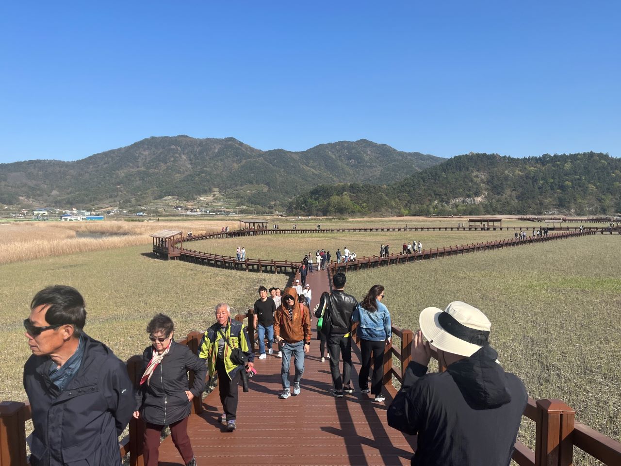 ▲ 순천만습지 무진교를 걷는 관람객