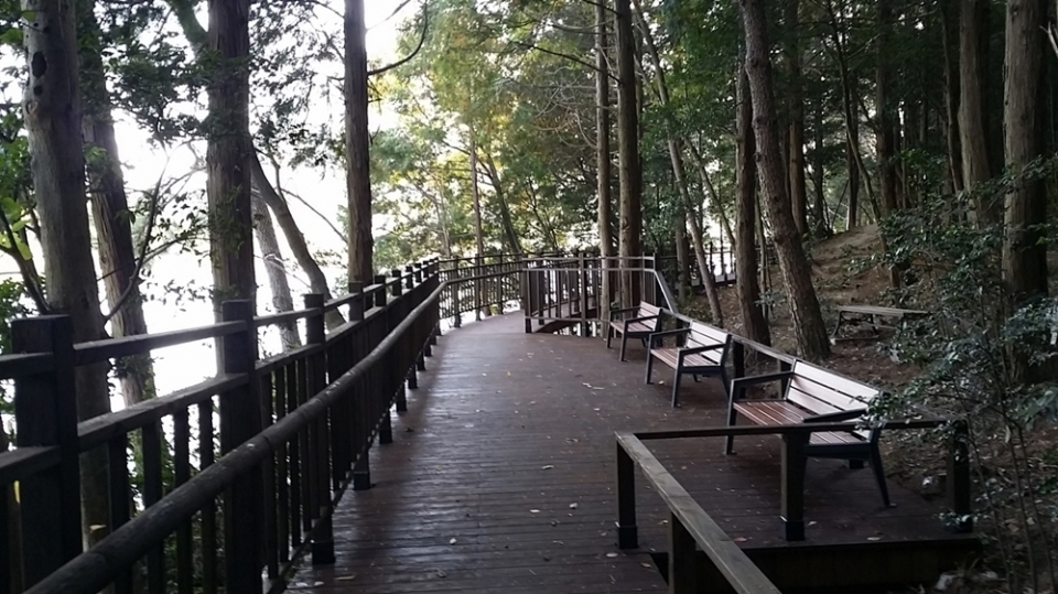 봉화산 삼림욕장 무장애 나눔길