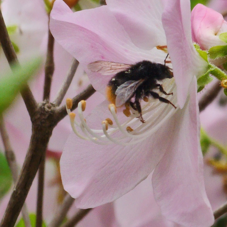 ▲ 나는 나만의 길을 걷는다.