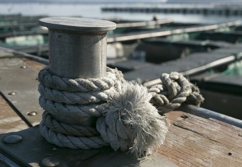 ▲ 충분한 수면과 영양공급이 중요해 ⓒpixabay