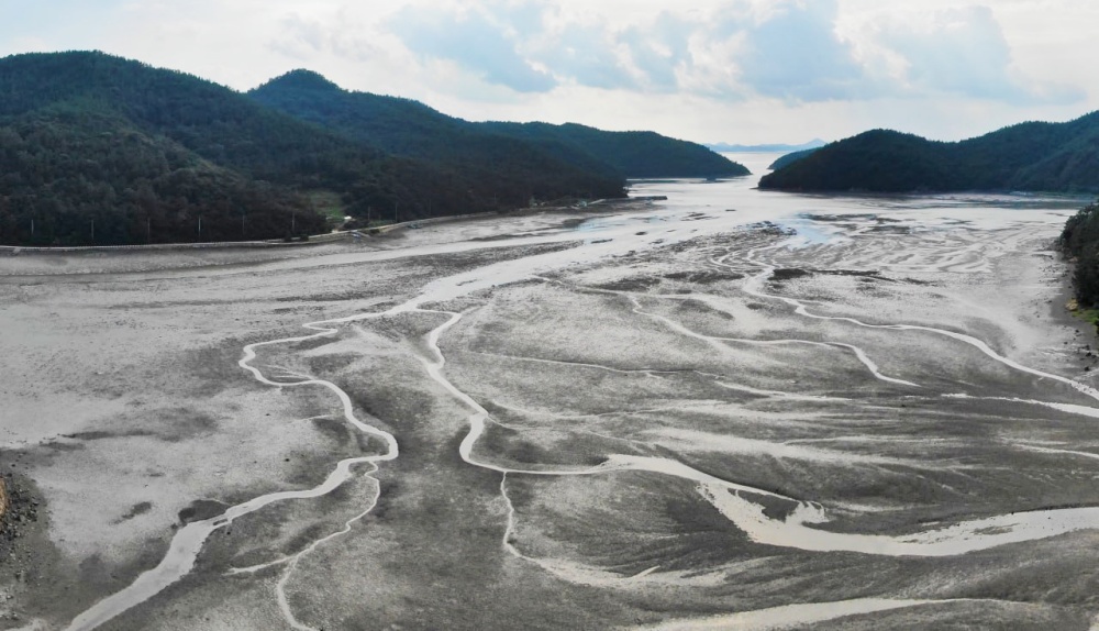 ▲ 여수 여자만 갯벌