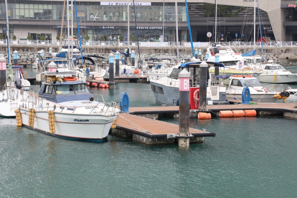 ▲ 이순신 마리나항에 요트들이 계류되어 있다.