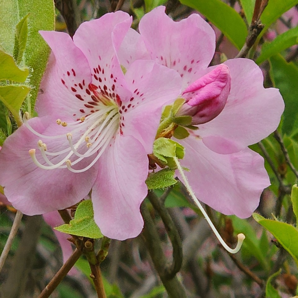 ▲ 배움의 끝은 아름다운 영혼을 완성하는 것이다.