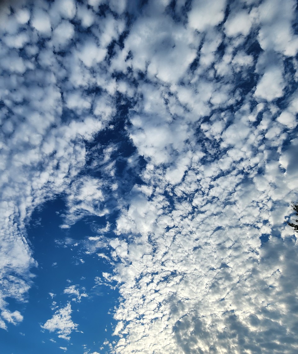 ▲ 우리의 운명이다. 무에서 유를 찾아야 한다.