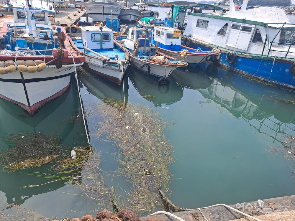 ▲여수 국동항이다. 어항 청소로 인해 1개월 전보다 많이 깨끗해졌다. ⓒ조찬현